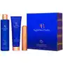 The restorative scalp & hair system (380 ml) Augustinus bader Sklep