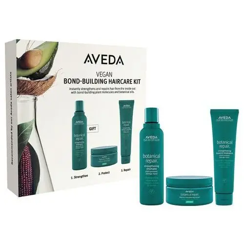 Aveda botanical repair bond building haircare kit