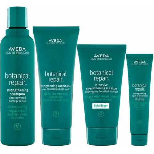 Aveda Botanical repair light kit