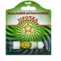 Без бренда Golden pharm aroma sztyft do nosa gwiazdka 1.2g . produkty lecznicze i proﬁlaktyczne Sklep