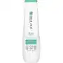 Biolage Scalp Sync Clarifying Shampoo 250 ml, E4251400 Sklep