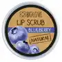 Biolove Peeling do ust borówka 15 ml blueberry Sklep