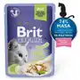 Brit cat FILLETS pstrąg w galarecie 85 g Sklep