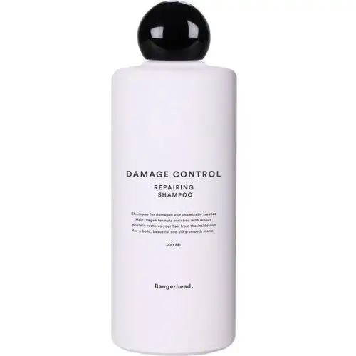Damage control repairing shampoo (300 ml) By bangerhead