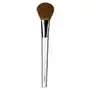 Clinique Blush Brush Sklep