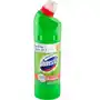 Domestos Extended Power Pine 750 ml Sklep