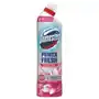 Domestos power fresh floral disinfectant toilet cleaner 700 ml Sklep