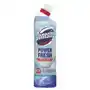 Domestos Power Fresh Ocean disinfectant toilet cleaner 700 ml Sklep