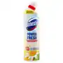 Domestos power fresh spring disinfectant toilet cleaner 700 ml Sklep