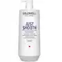 Goldwell Dualsenses Just Smooth wygładzająca odżywka do włosów 1000ml Sklep