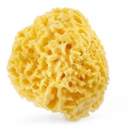 Hhuumm Naturalna gąbka żółta 12,5cm premium