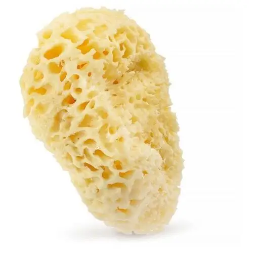 Hhuumm Naturalna gąbka żółta 17,5cm premium
