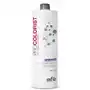 Procolorist silver shampoo szampon usuwający zażółcenia z siwych bądź rozjaśnianych włosów (1000 ml) Itely hairfashion Sklep