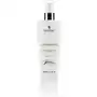 Magnetique spray elixir 15w1 250ml Sklep