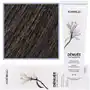 Montibello denuee ammonia-free permanent colour 5.12 60ml Sklep