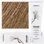Montibello denuee ammonia-free permanent colour 9 60ml Sklep