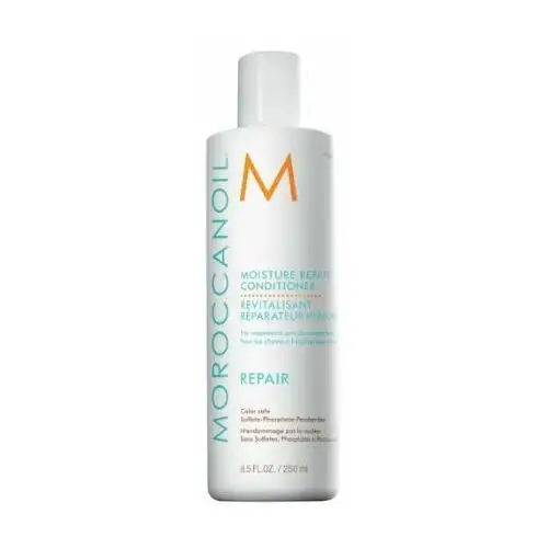 Moroccanoil Smoothing Smoothing Conditioner for frizzy hair 250 ml