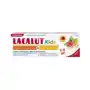 Lacalut kids pasta dla dzieci 2-6 lat 55ml N.p.zdrovit sp. z o.o Sklep