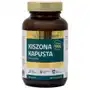 Suplement diety kiszona kapusta nutrihealth Nutrihealth Sklep