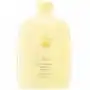 Oribe Hair Alchemy Resilience Shampoo (250 ml), 401850 Sklep