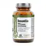 Pharmovit Suplement boswellia 70% kwasu bosweliowego 60 kaps clean label Sklep