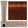 Schwarzkopf professional Schwarzkopf igora royal absolutes, farba do włosów, 6-70 absolutes, 60ml Sklep