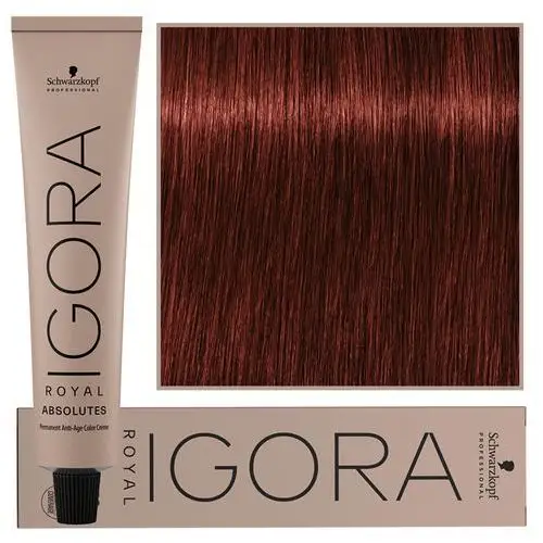 Schwarzkopf Igora Royal farba do włosów 6-80