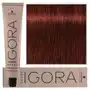 Schwarzkopf Igora Royal farba do włosów 6-80 Sklep