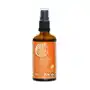 Air freshener organic orange 100 ml Tierra verde Sklep