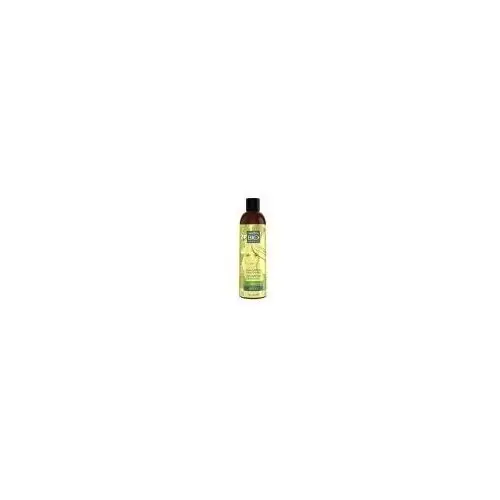 Venita Bio brzoza wzmacniający szampon z ekstraktem z brzozy do włosów słabych i zniszczonych 300ml