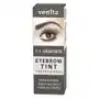 Professional Eyebrow Tint farba do brwi w proszku Graphite Sklep