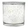 Voluspa Vermeil silver birch peppercorn grande maison candle - świeca Sklep