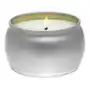 Vermeil Silver Birch Peppercorn Mini Tin Candle - Świeca, 696272 Sklep