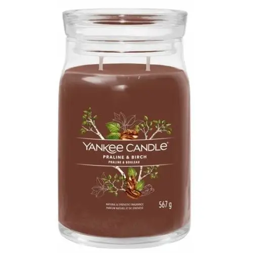 Yankee candle praline & birch kerze 567.0 g