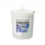 Yankee Candle Sparkling Holiday świeca wotywna 49 g Sklep