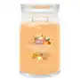 świece zapachowe mango ice cream kerze 567.0 g Yankee candle Sklep