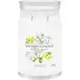 YANKEE CANDLE Świece zapachowe Midnight Jasmine kerze 567.0 g Sklep